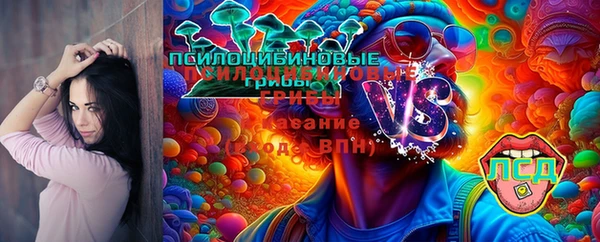 дживик Алзамай
